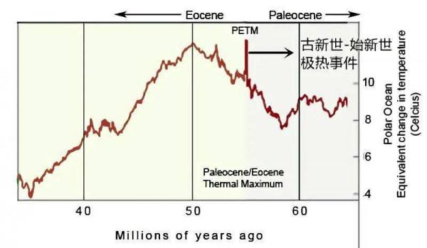 5500萬年前，地球發了一場“高燒”，逼得鯨魚祖先下了海
