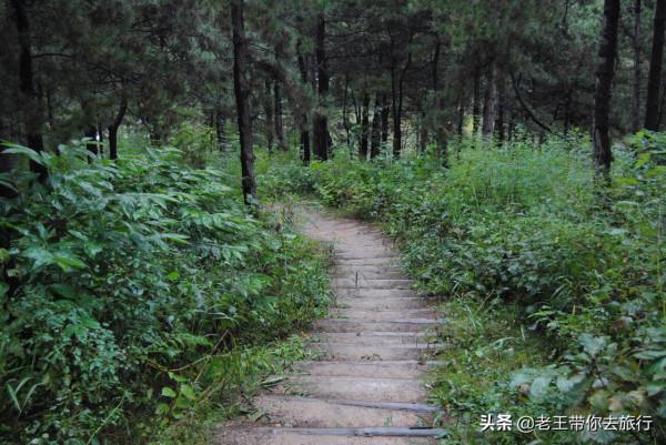 世外桃園——薊州苦梨峪村