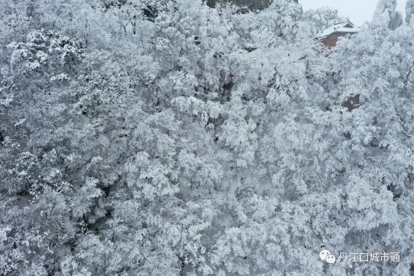 2022年春季丹江口最美雪景，你知道是哪裡嗎？