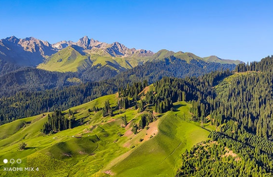 從Note到Mix 小米全系熱門手機推薦 從Note到Mix 小米全系熱門手機推薦