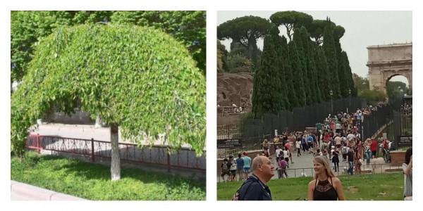 歐洲旅行記之一：古羅馬