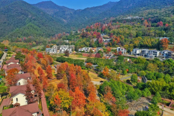 降溫有驚喜！南國山巔邂逅冰雪奇緣
