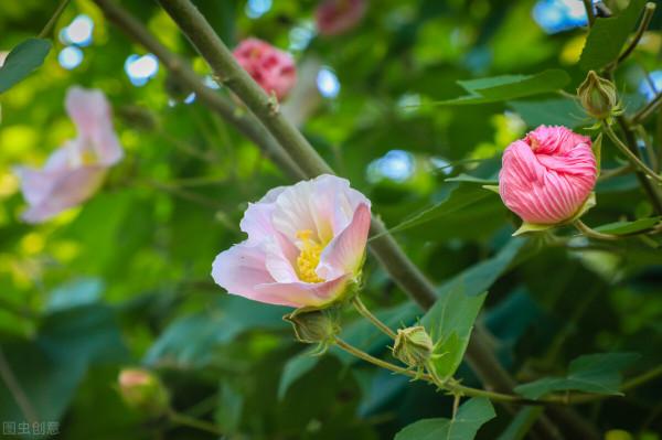 10句秋日詩詞，風景如畫，一一讀來秋意濃濃
