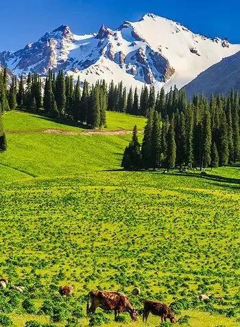 分享大美新疆 景色怡人 美美美