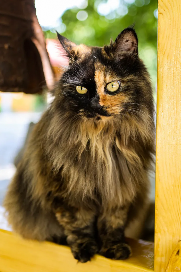 天團連連看，你的眼睛還好嗎？