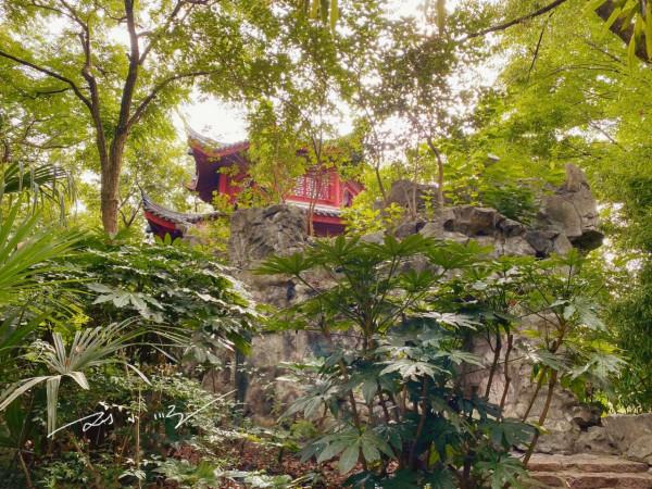 上海嘉定的“尷尬”公園,門票5元卻幾乎沒人,遊客:不如不收 上海嘉定的“尷尬”公園,門票5元卻幾乎沒人,遊客:不如不收