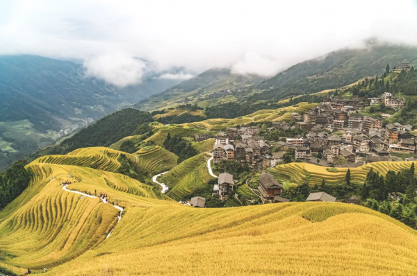 這是我今年的旅行計劃，想抄作業的一起來