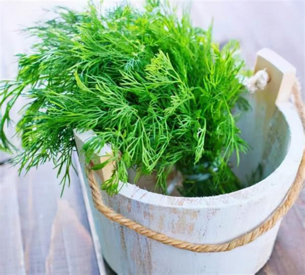 統一回復“重症患者吃什麼?”,今天為患者總結一份食譜 統一回復“重症患者吃什麼?”,今天為患者總結一份食譜