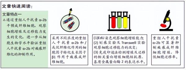 重組人干擾素α-2b抑制瘢痕成纖維細胞的增殖及遷移作用