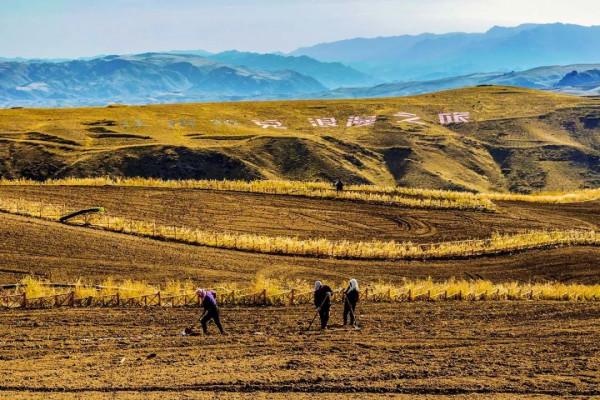 中國秋色正在上演!這9條自駕線,帶你領略不一樣的秋色 中國秋色正在上演!這9條自駕線,帶你領略不一樣的秋色
