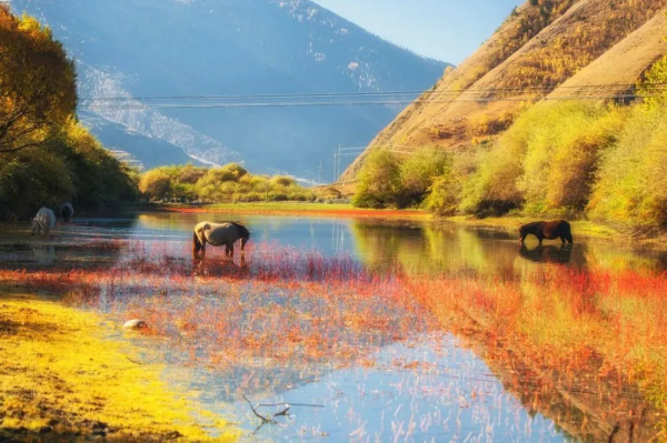 美呆!國內這8個地方一定要去!定會給你不一樣的驚喜 美呆!國內這8個地方一定要去!定會給你不一樣的驚喜