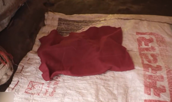 印度“無子宮村”:上百萬蔗農女工為保工作,切除子宮和卵巢 印度“無子宮村”:上百萬蔗農女工為保工作,切除子宮和卵巢