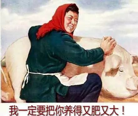 佛媛病媛幼兒媛,都沒我媽媛 佛媛病媛幼兒媛,都沒我媽媛