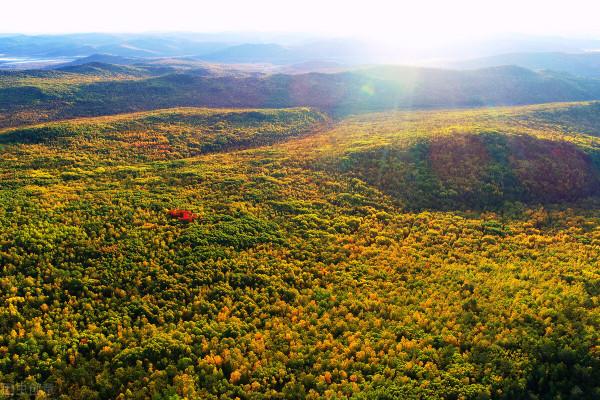 詩詞鄜州│嶺上
