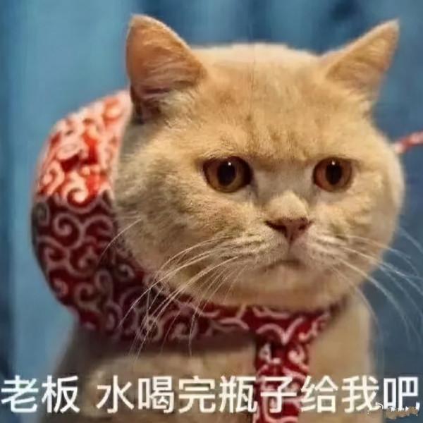 2021我的年終總結，全在這裡了