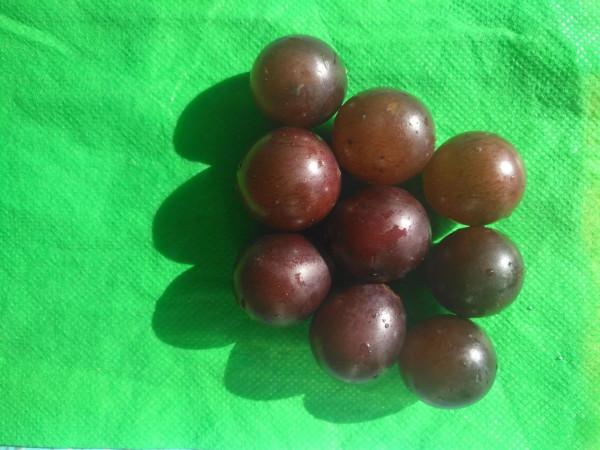 請為你上小學的寶寶保留