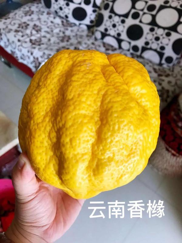 一種特殊的水果——香櫞 一種特殊的水果——香櫞