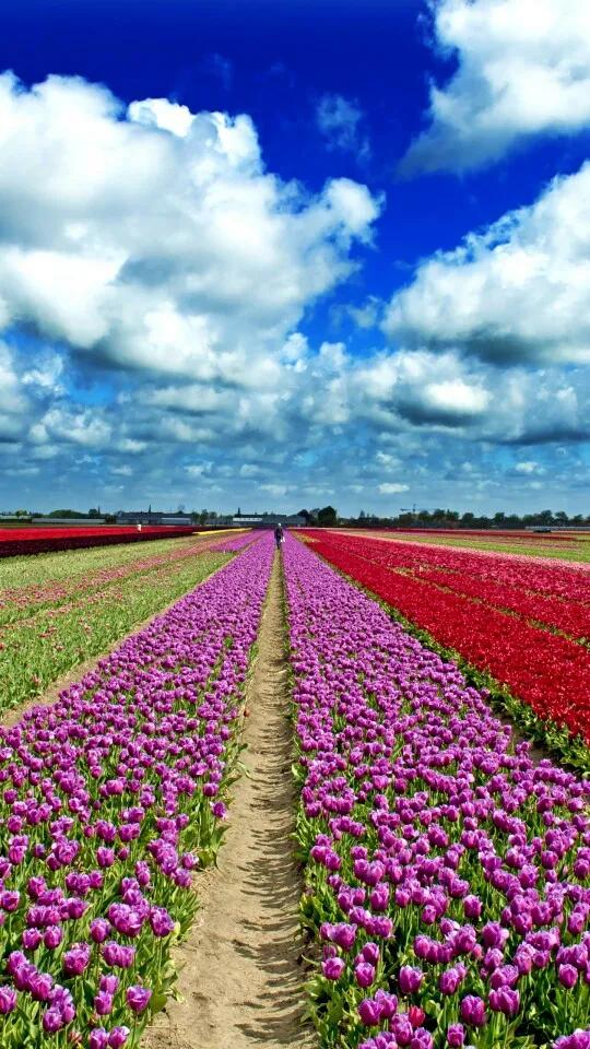 “上帝造海，我們造岸”，你知道是哪個國家人民創造的奇蹟