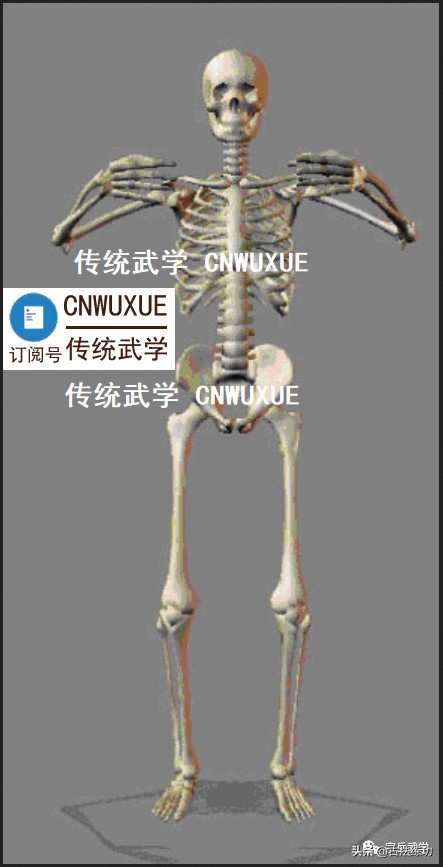 內家拳發力的真正不傳之密 內家拳發力的真正不傳之密