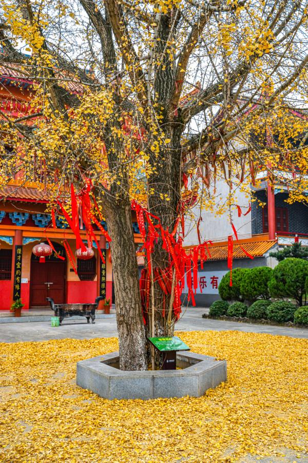 湖南有座古剎，相傳被“五條龍”守護，是湘潭境內四大古剎之一