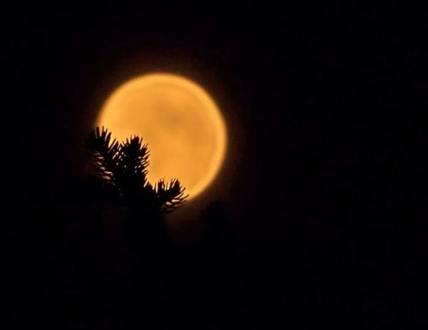 中學生優秀作文：難忘的中秋節