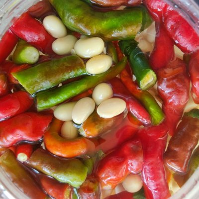 簡單好吃的爽口的下飯菜_辣椒泡豆子,秒變大廚 簡單好吃的爽口的下飯菜_辣椒泡豆子,秒變大廚