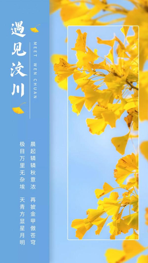 絕美！銀杏盡染無憂城，只看一眼就“淪陷”