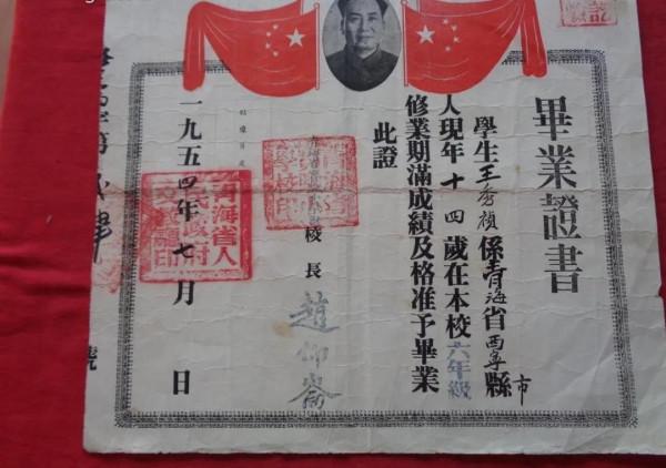 青海1954年的11張照片