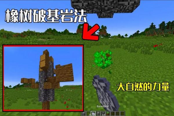 我的世界：破壞基岩的歷史，mc玩家熱衷於尋找Bug，種菜種破了它
