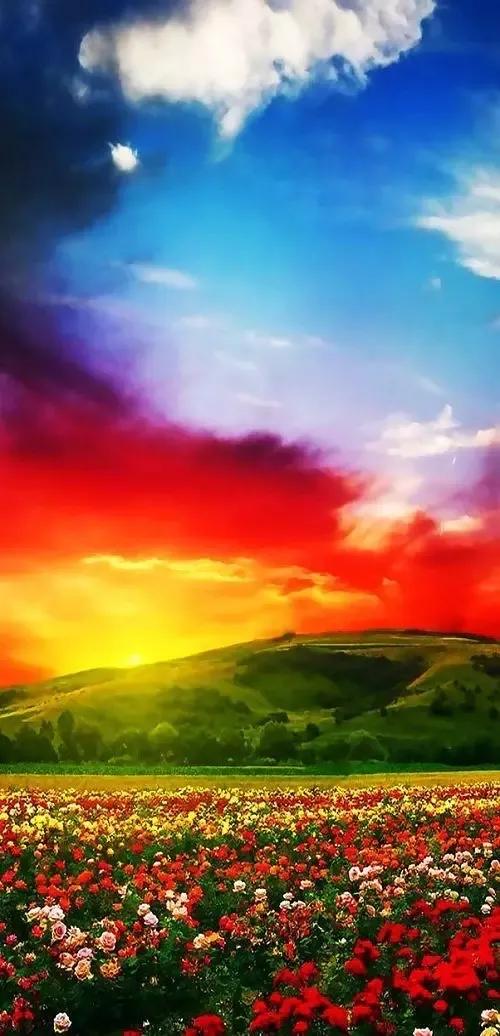 人間仙境美極了