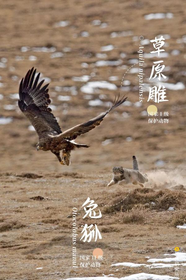 出發！看中國五大國家公園