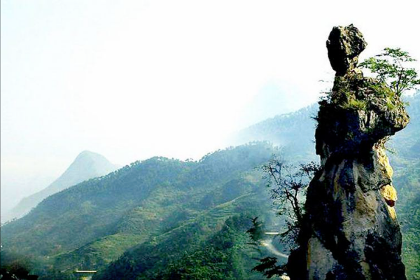 最煩的7種植物最好不要碰,在外遊玩安全第一,預防過敏和中毒 最煩的7種植物最好不要碰,在外遊玩安全第一,預防過敏和中毒