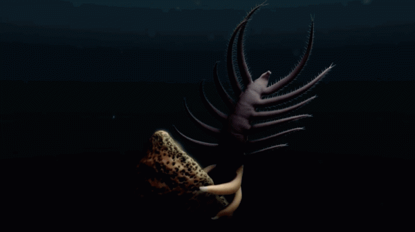 海蜘蛛用5億年親身證明一個道理：“只要足夠廢物，就沒天敵”