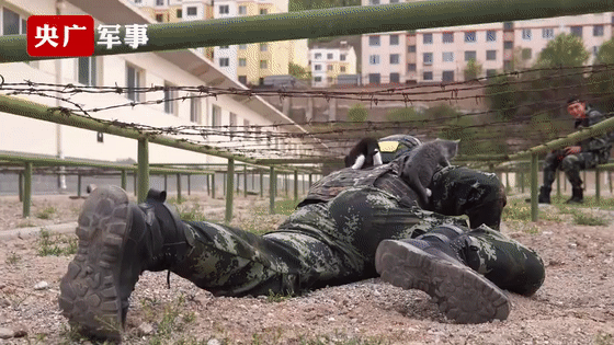 貓咪賴上兵哥哥？這畫面，糖分超標了吧