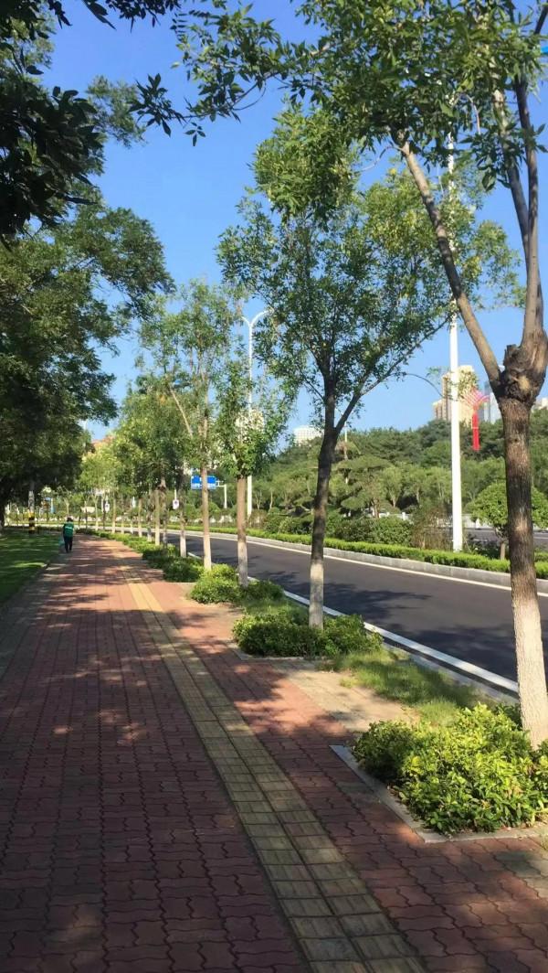 威海旅行真正的攻略