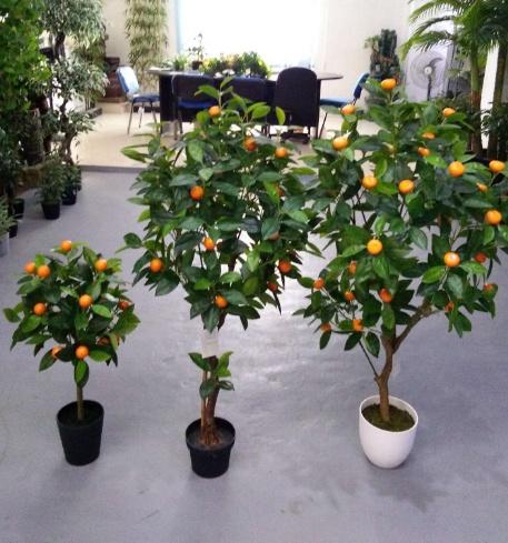 這&OpenCurlyDoubleQuote;3種&rdquo;植物，在家養1盆，能減少甲醛、細菌，使家人更健康