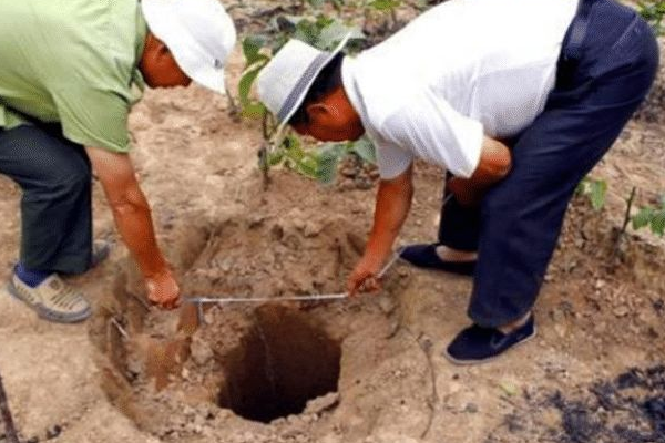 山西3000年前古墓，其中出土大量文物，專家：此次考古意義重大