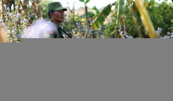 “金三角”一支沒有祖國的軍隊 “金三角”一支沒有祖國的軍隊