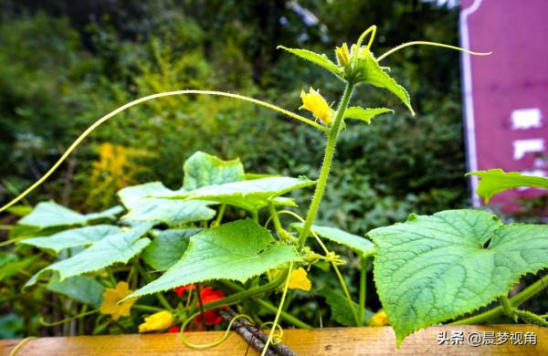 國慶小長假在哪裡玩?登高望遠 體驗高山玻璃滑水 那就是京郊清涼谷 國慶小長假在哪裡玩?登高望遠 體驗高山玻璃滑水 那就是京郊清涼谷