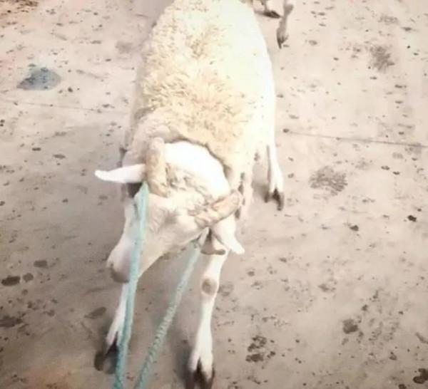 想賺大錢,不怕吃苦的人看過來,這些工作適合你,值得收藏 想賺大錢,不怕吃苦的人看過來,這些工作適合你,值得收藏