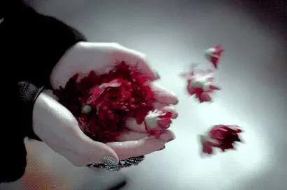 王力宏父親發文護子：父母體面地退出成年兒女的生活，究竟有多難