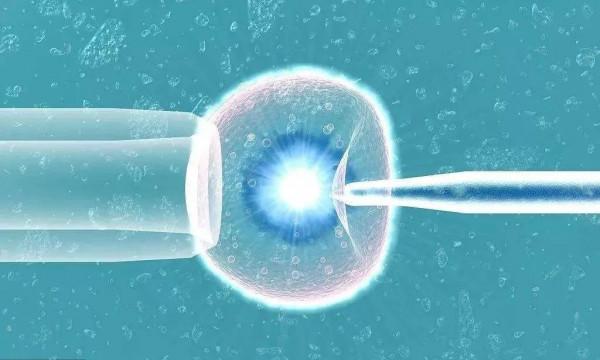 三胎生個試管嬰兒?過來人說做試管的痛苦一言難盡 三胎生個試管嬰兒?過來人說做試管的痛苦一言難盡