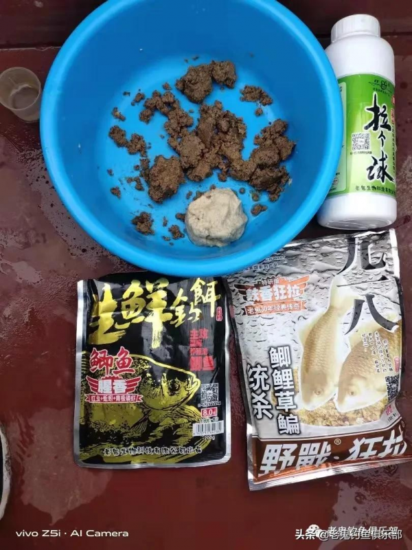 國慶假日海河野釣，生鮮釣餌上板鯽