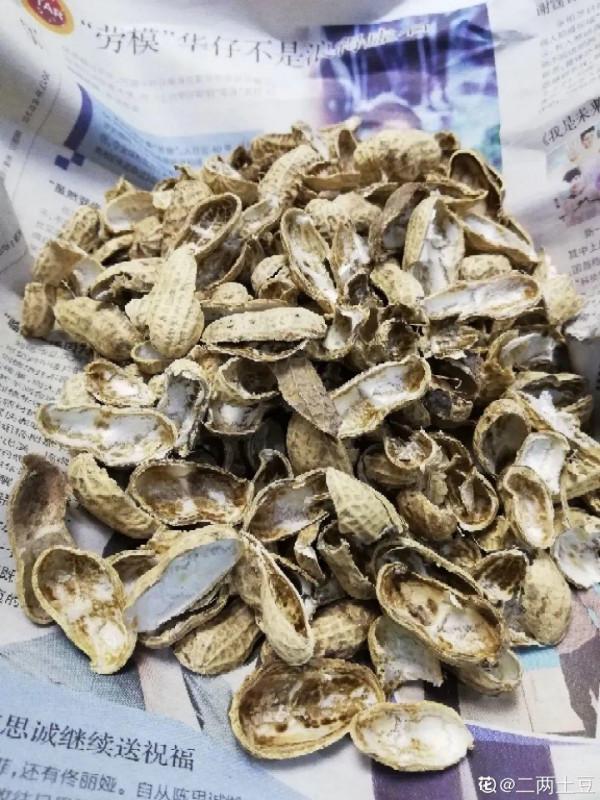 10種“垃圾”不要丟,拿來養花效果好,還能省下一筆錢 10種“垃圾”不要丟,拿來養花效果好,還能省下一筆錢