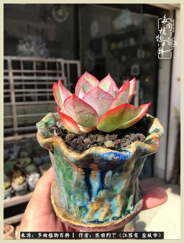 你儘管善良,福報都在路上 你儘管善良,福報都在路上