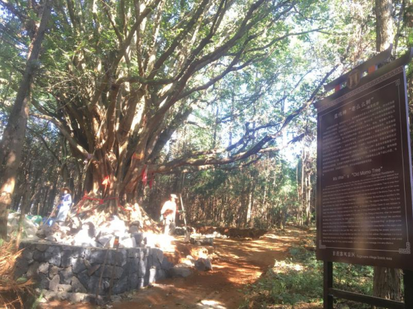 【國家AA級景區】騰衝甘蔗寨佤族景區