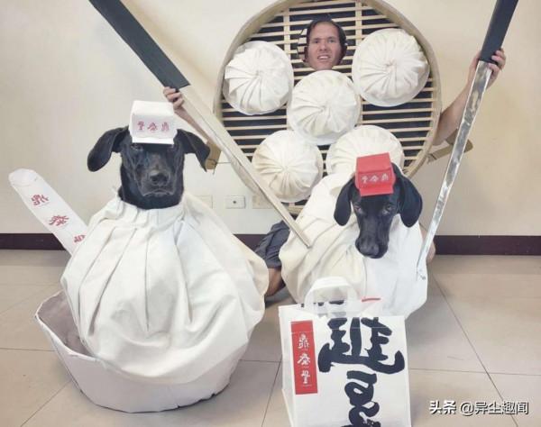 狗狗也要過萬聖節！寵物狗化身為《魷魚遊戲》中的木頭人鬼娃