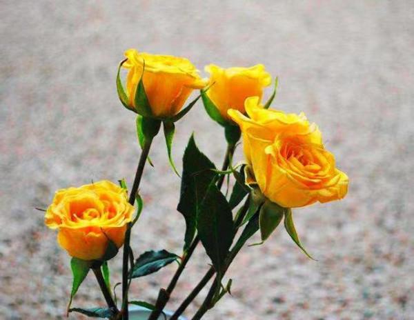 人生感悟：生活中的3種人，不必要再來往！及時止損