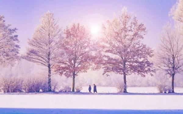 冰雪美景欣賞 冰雪美景欣賞