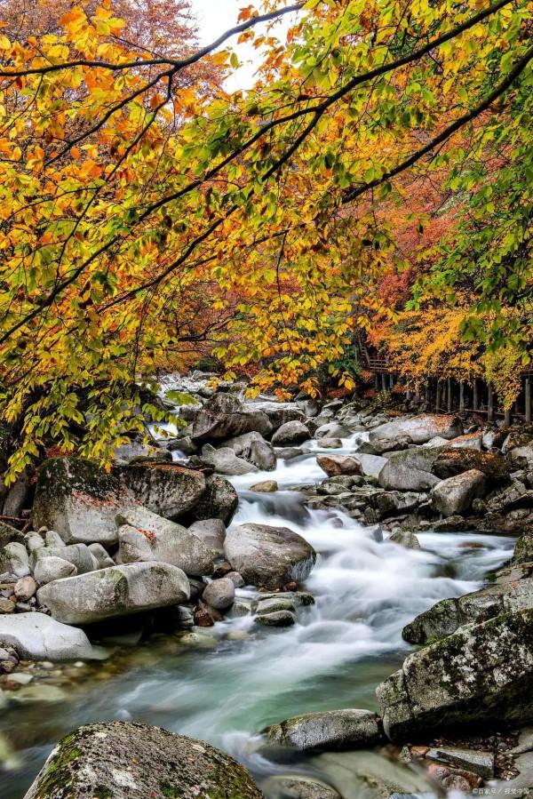 青玉案·秋吟三首